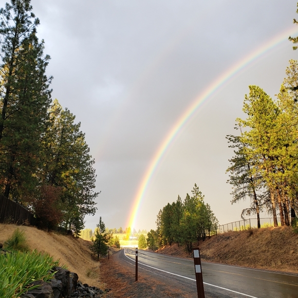 Meet your Posher, Susan - Picture 1 of 1